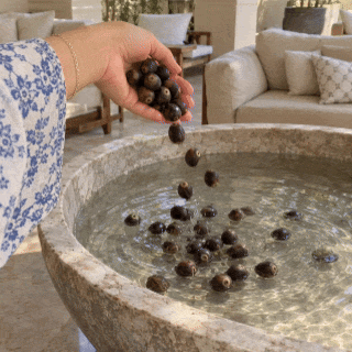 عائلة مع اللوتس