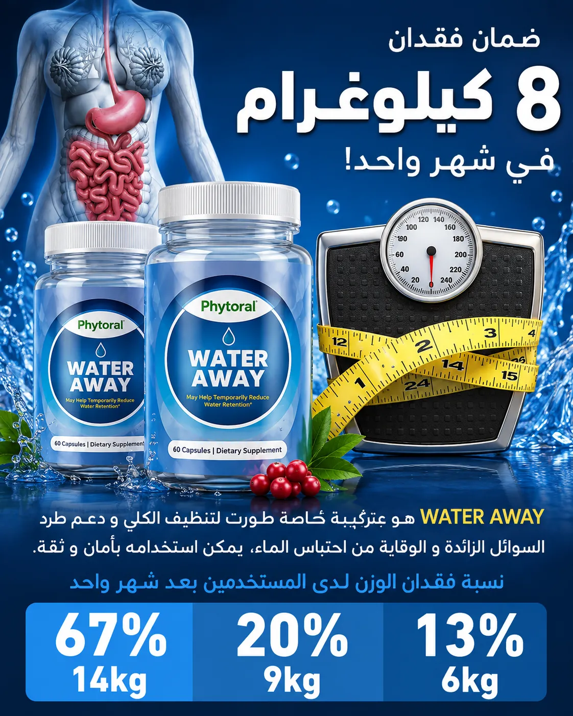 6ed282c1-6d8a-485f-a2df-71851a7aacb7.qv-9cyJXfgXcdapxprjhc