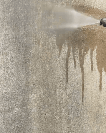 Fiordo limpiando una pared