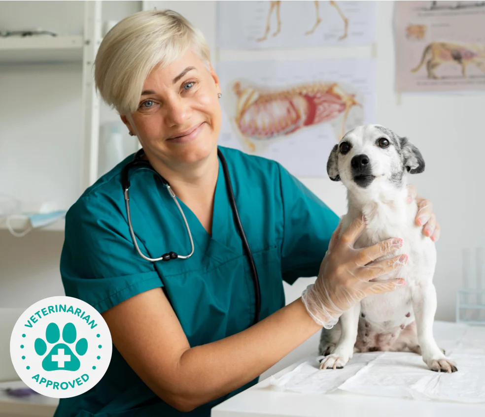 77b95210-9dc8-48f7-8a1a-5474e2d7ee86.Group_1000004173