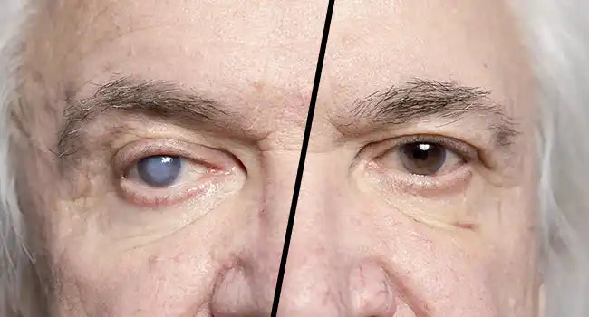 a1a5acd1-6888-4994-b3dc-01a62deb75e2.rev