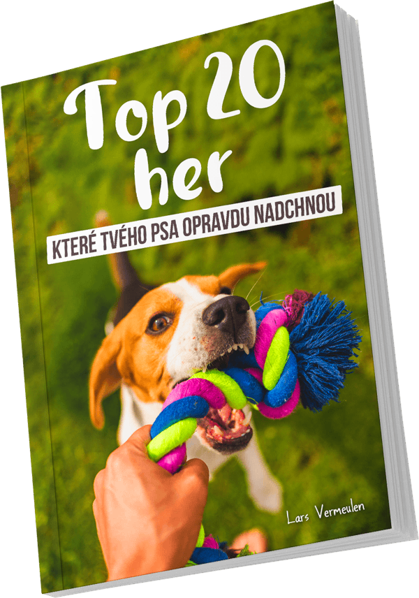 Bonusová e-kniha Top 20 her