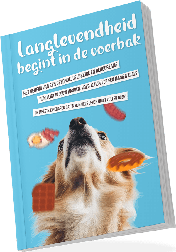 Bonus E-book Langlevendheid
