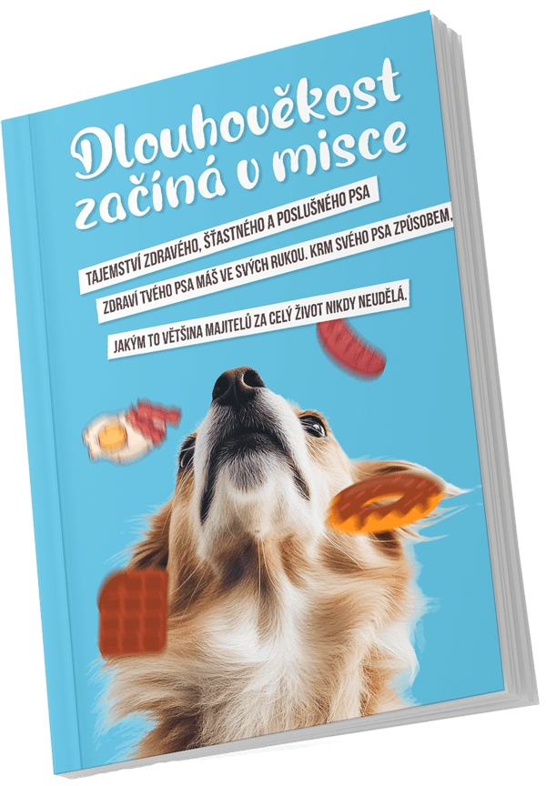 Bonusová e-kniha Dlouhověkost začíná v misce