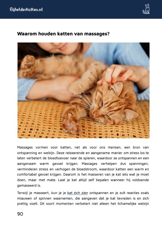 De Kattenbijbel fragment 4