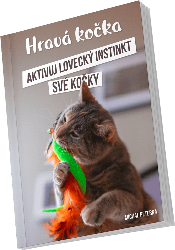 Bonus E-book Hravá kočka