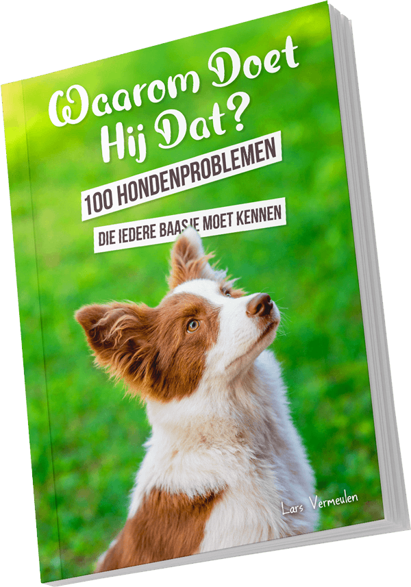 Bonus E-book 100 Hondenproblemen