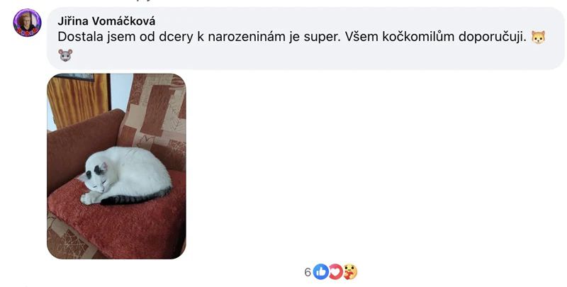 Reference zákazníka 1