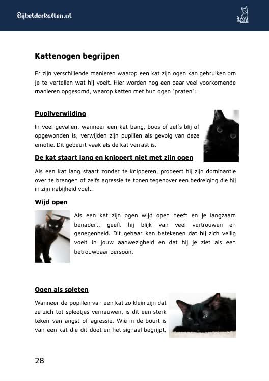 De Kattenbijbel fragment 1