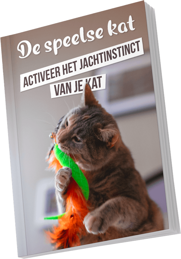 Bonus E-book De speelse kat