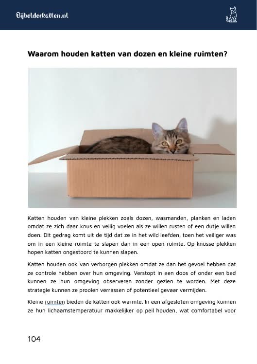 De Kattenbijbel fragment 2