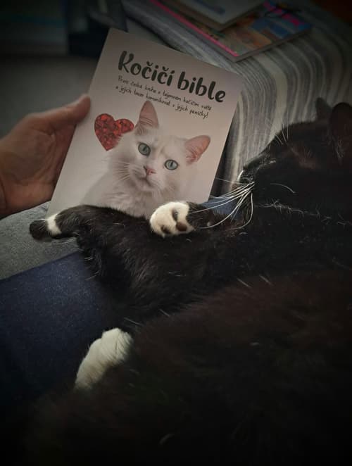 Reference zákazníka 11