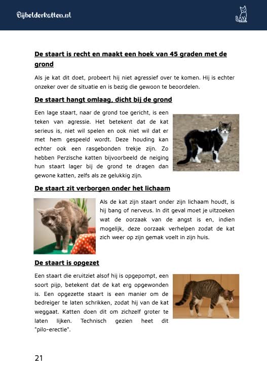 De Kattenbijbel fragment 3