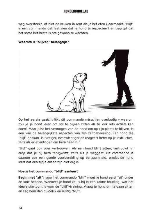 De Hondenbijbel fragment 1