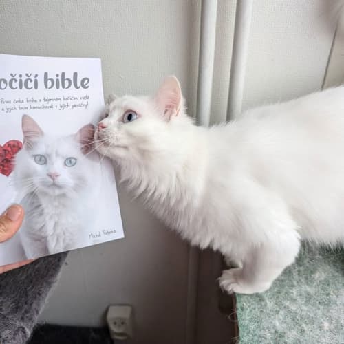 Reference zákazníka 12