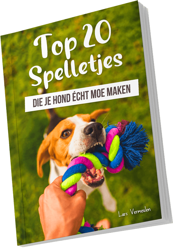Bonus E-book Top 20 Spelletjes