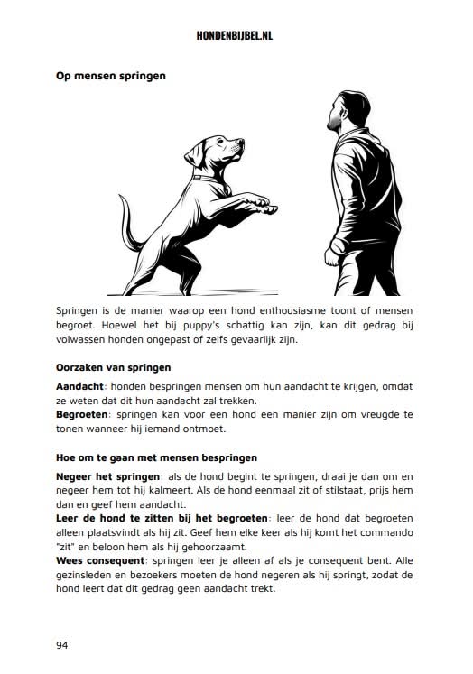 De Hondenbijbel fragment 2