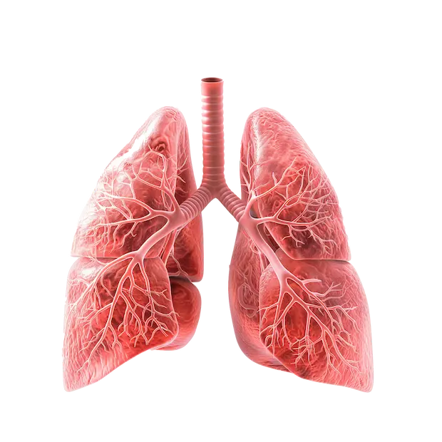 2b991513-5998-429e-a529-e214cd0afe79.bb