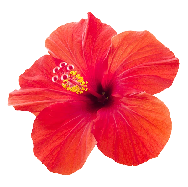 a27ccdd2-5abe-4c53-a46f-2c0bd4d0d720.Frame 5