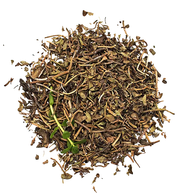 a27ccdd2-5abe-4c53-a46f-2c0bd4d0d720.Frame 5