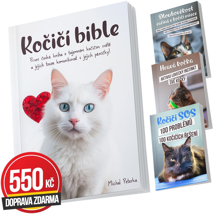 Kočičí bible Oficial — kniha od Michala Peterky