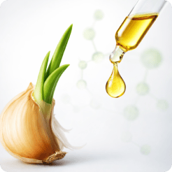 4signgarlic