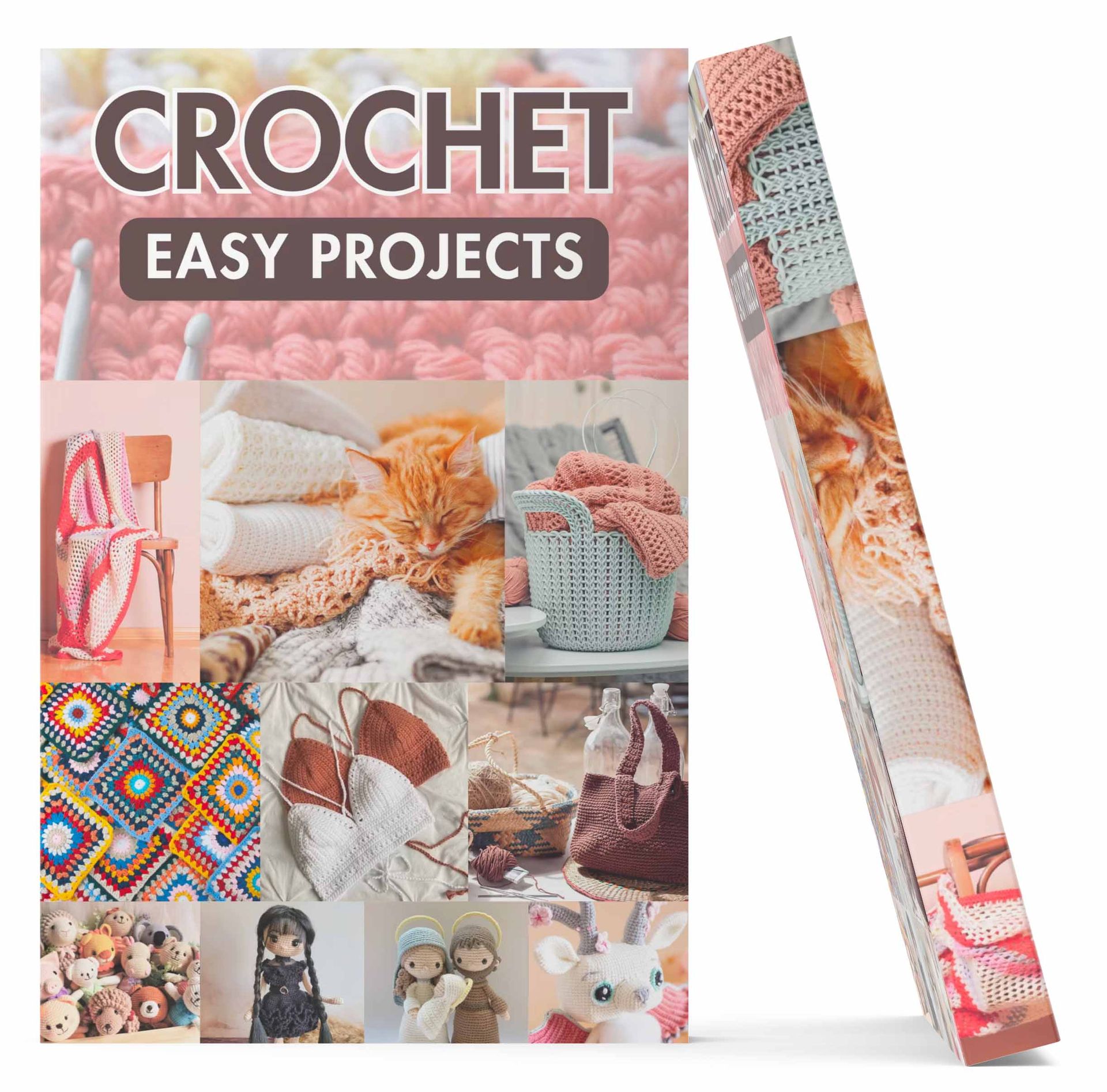 Cours de projets pratiques