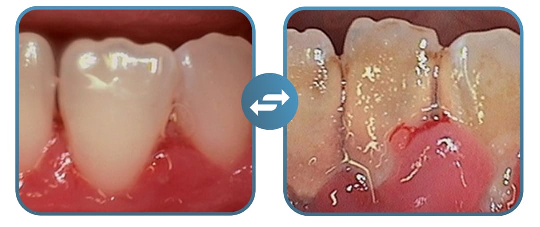 9080691e-d9e8-49ca-ae2b-f4b8c87cac53.Untitled-2_11