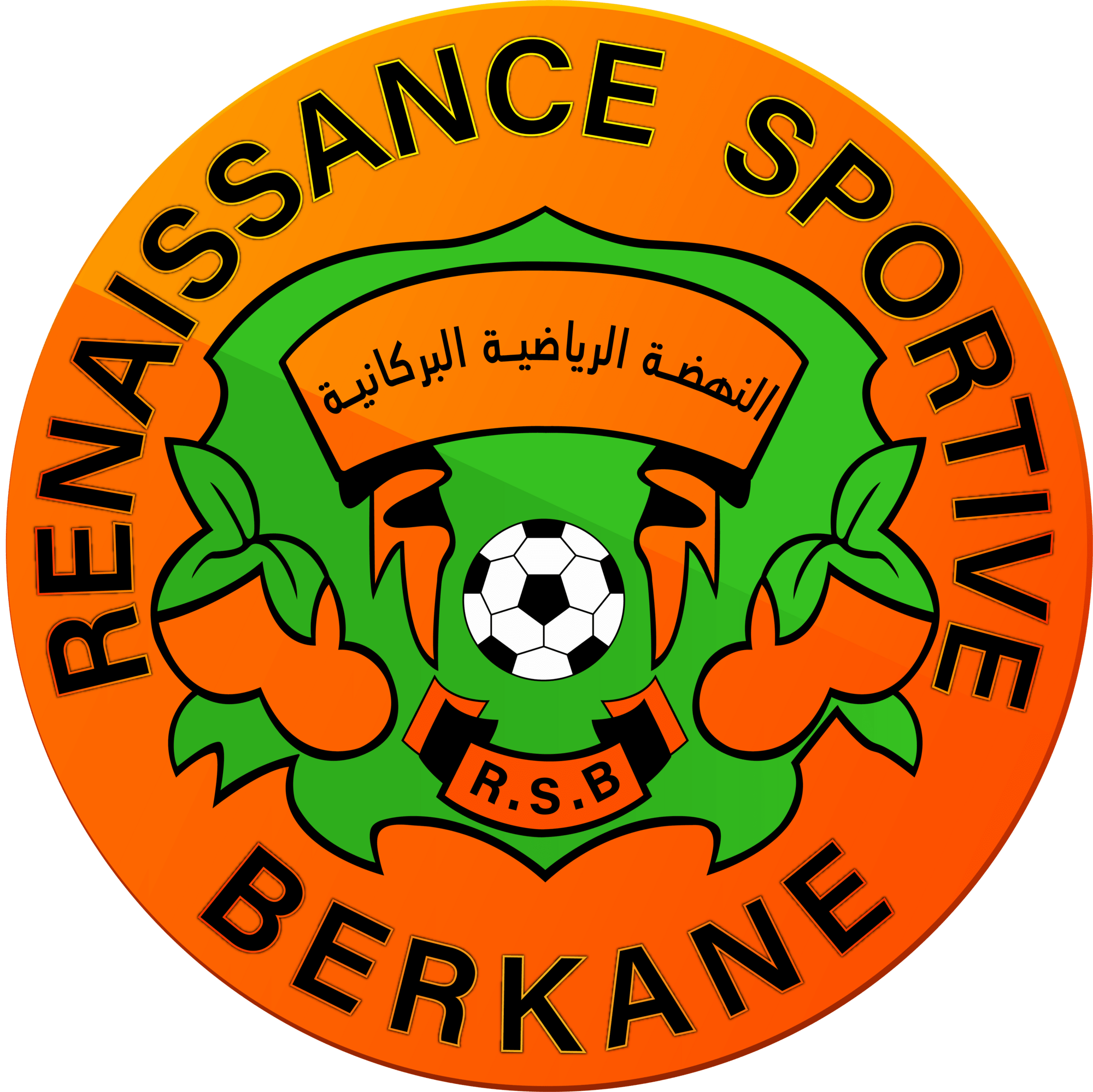 6a1ce5f8-80a4-4880-a7b0-4c2b4ffa272d.renaissance-sportive-de-berkane-seeklogo