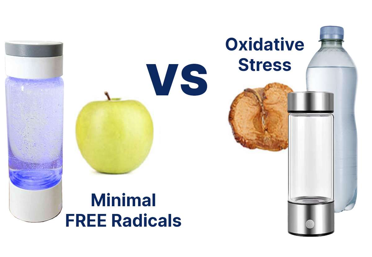 Eliminate Free Radicals causing Damage for a Better Immune