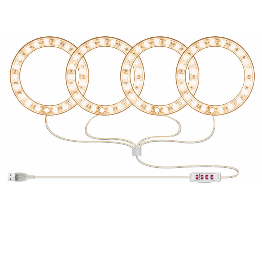 79a4edf1-a493-4aef-84c5-bde97741abc5.36aa07b1-b9c1-4e07-bacb-bdab6ae0e5c7