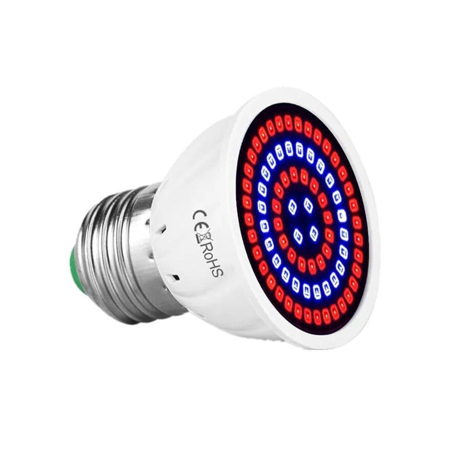 d302c763-638b-48a0-83ca-839203bb966f.36069fdc-8fca-4033-9705-953016f9