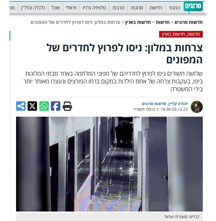 כתבה סרוגים כתבה סרוגים