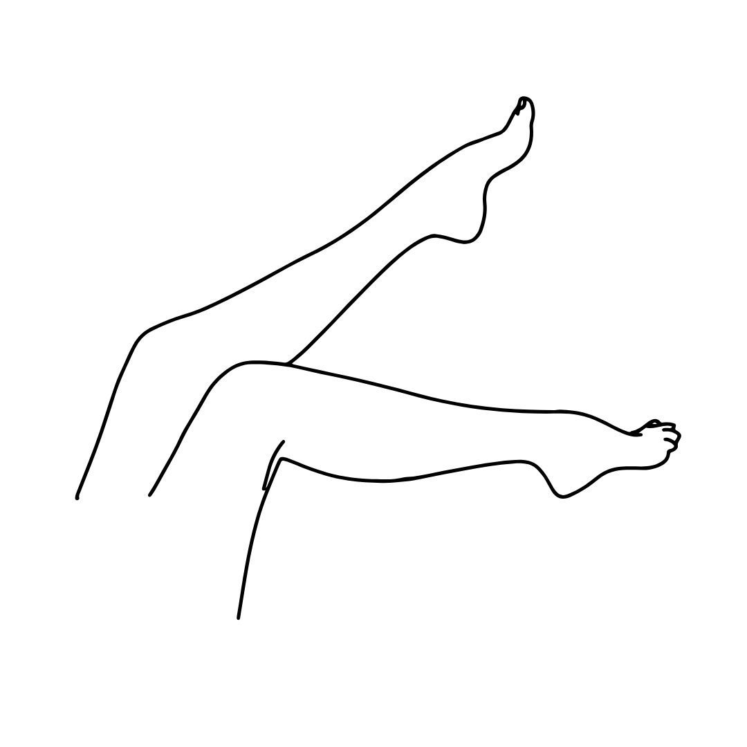 b1723688-3148-466d-b760-d30a510459dd.רגל