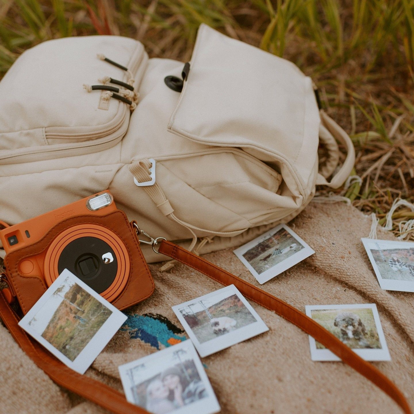 8781300a-b1eb-4760-89f6-92e1592c6b1b.@brevitehl=en Photo by BREVITÄ’ on September 24, 2023. May be an