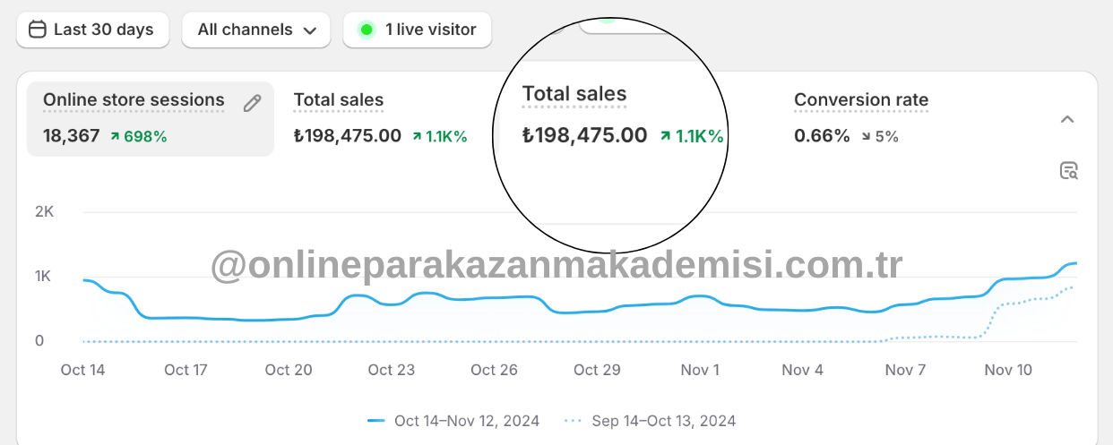 4e447bb5-e5d9-474d-af01-a9ca0bb89763.@onlineparakazanmakademisi.com.tr