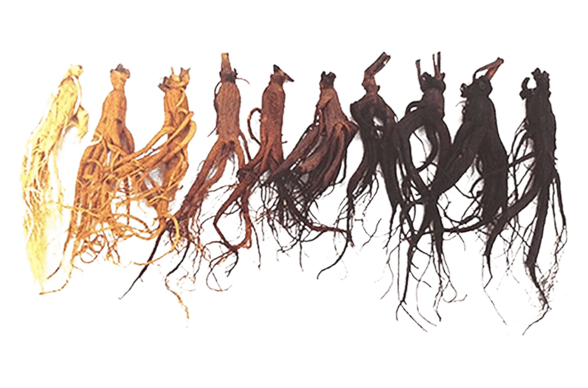 056172e8-c39f-4452-8ac7-11958d6530d4.339842bd-58ca-4119-a826-f87b9851c234