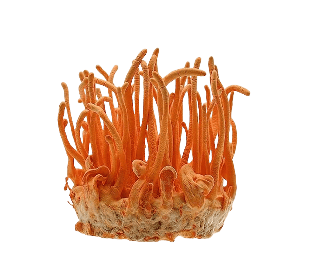 675e4cde-19e4-4934-bdd2-46b399bdaf38.6e7f7c9a-f69a-4506-a030-8575015f77be