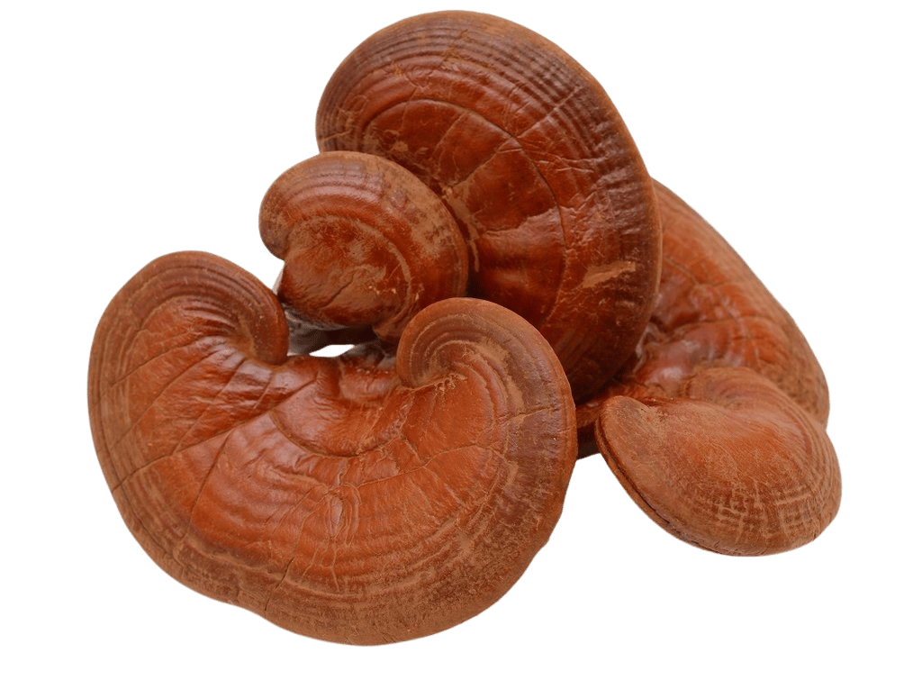 a3f68d2c-bb39-4005-8c7f-c01324ee6406.e6778422-8d89-466f-b3ac-8152aea80faf